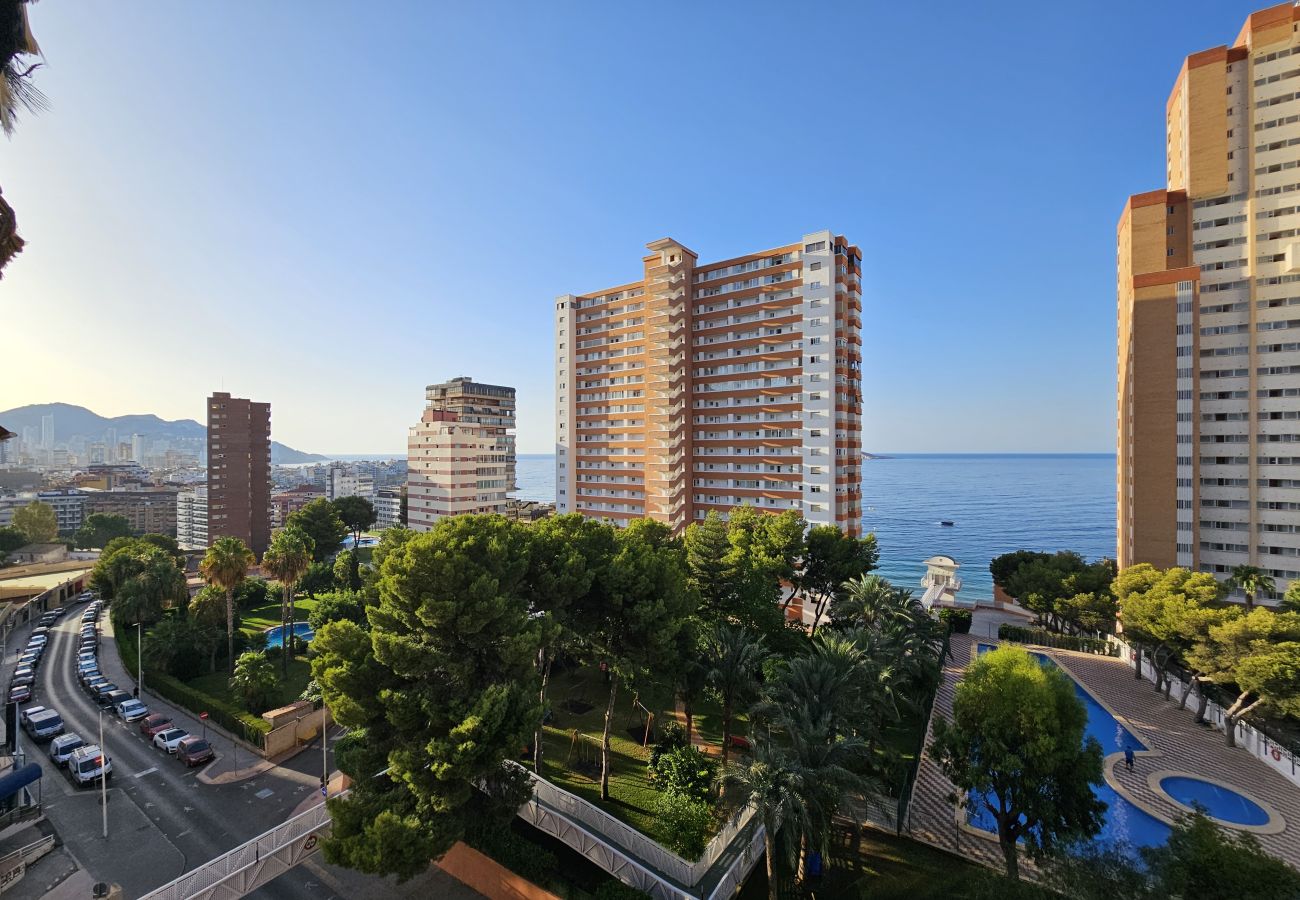 Apartamento en Benidorm - Apartamento Provima B 7 IF Benidorm