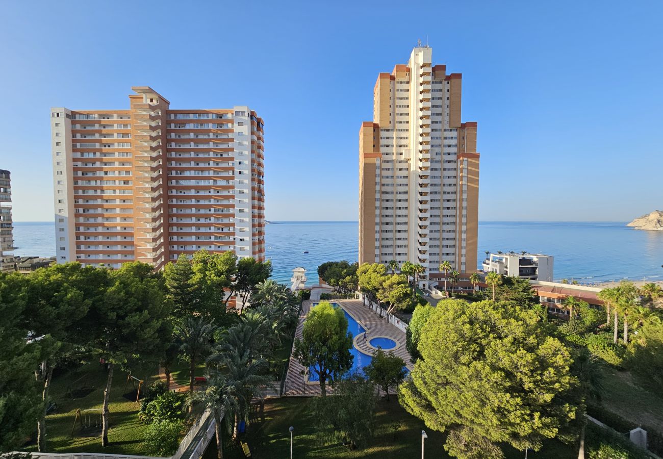 Apartamento en Benidorm - Apartamento Provima B 7 IF Benidorm