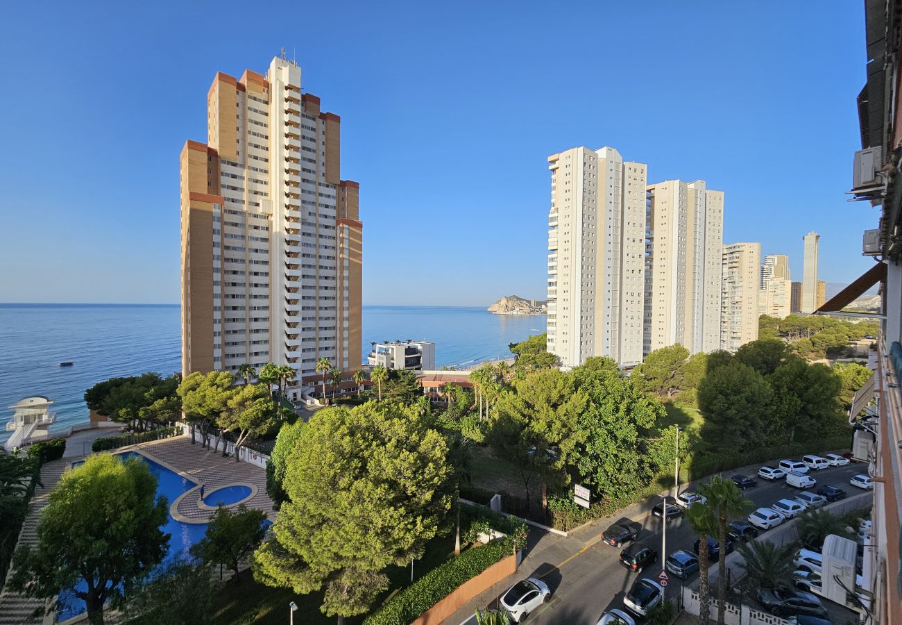 Apartamento en Benidorm - Apartamento Provima B 7 IF Benidorm