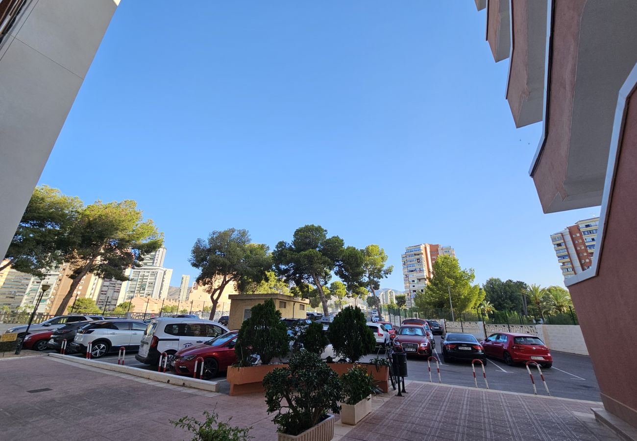 Apartamento en Benidorm - Apartamento Provima B 7 IF Benidorm