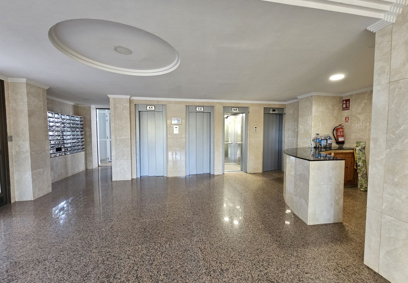 Apartamento en Benidorm - Apartamento Provima B 7 IF Benidorm