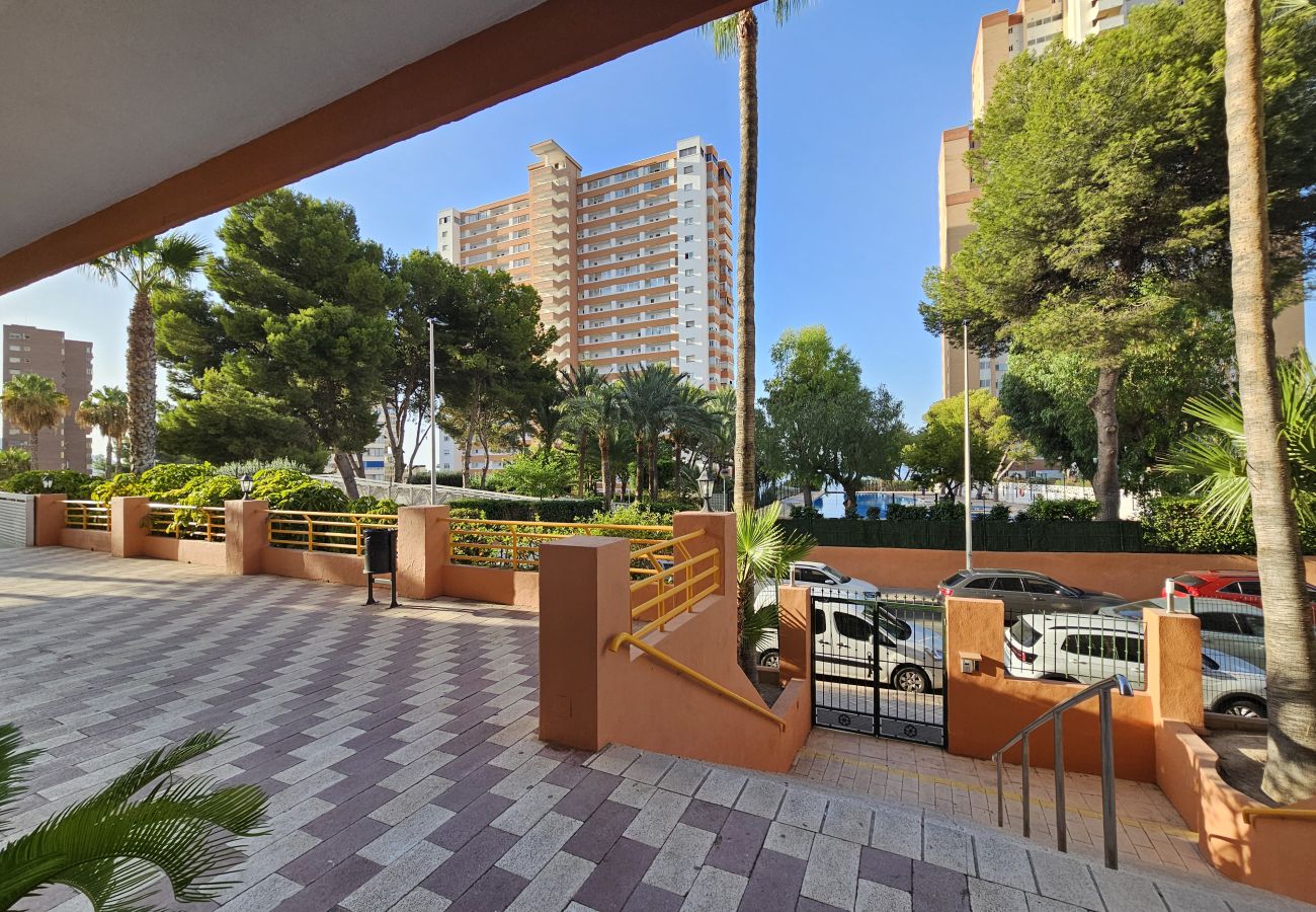 Apartamento en Benidorm - Apartamento Provima B 7 IF Benidorm