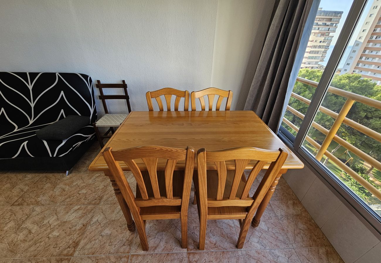 Apartamento en Benidorm - Apartamento Provima B 7 IF Benidorm