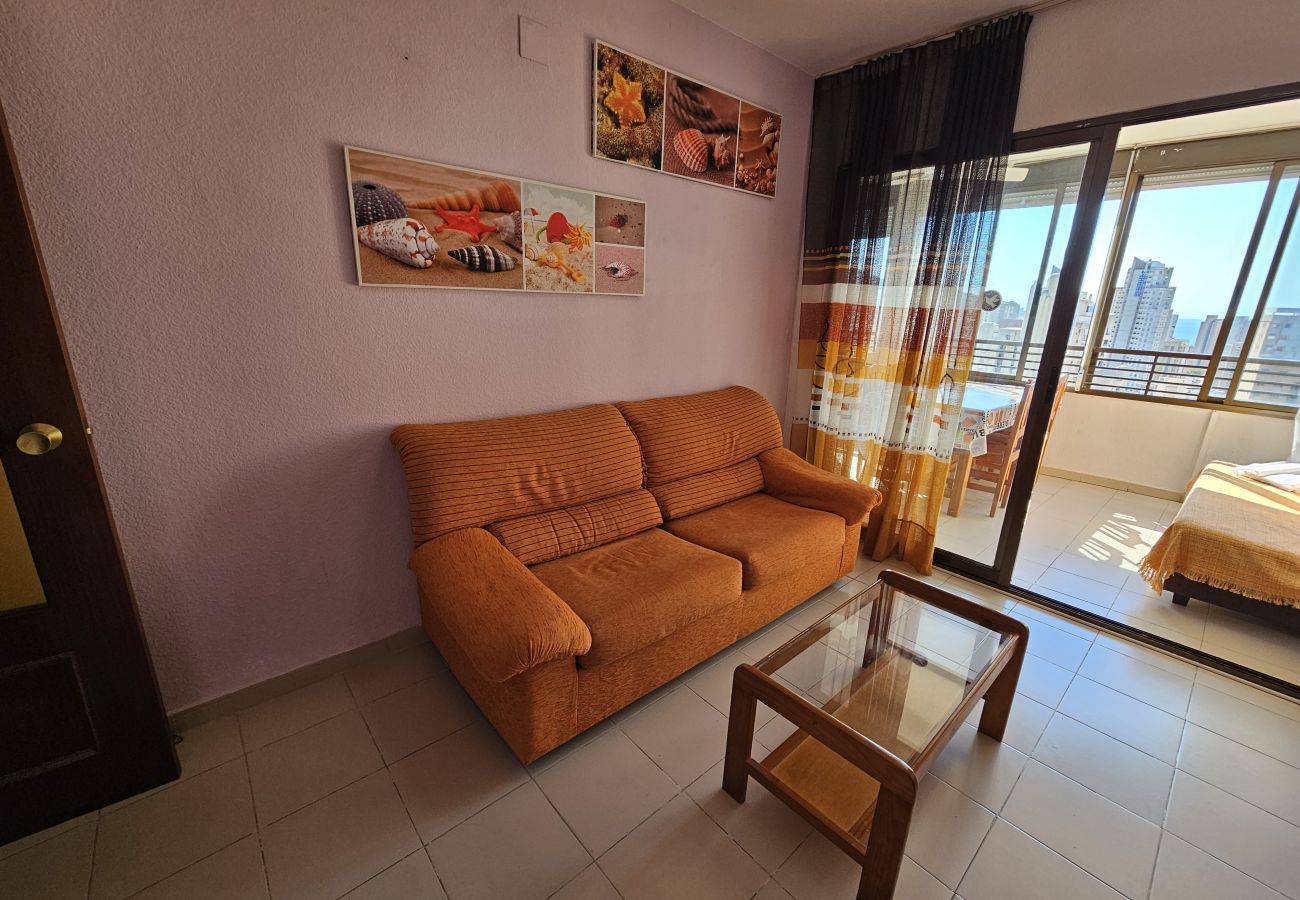 Apartamento en Benidorm - Apartamento Gemelos XII 17 C IF Benidorm