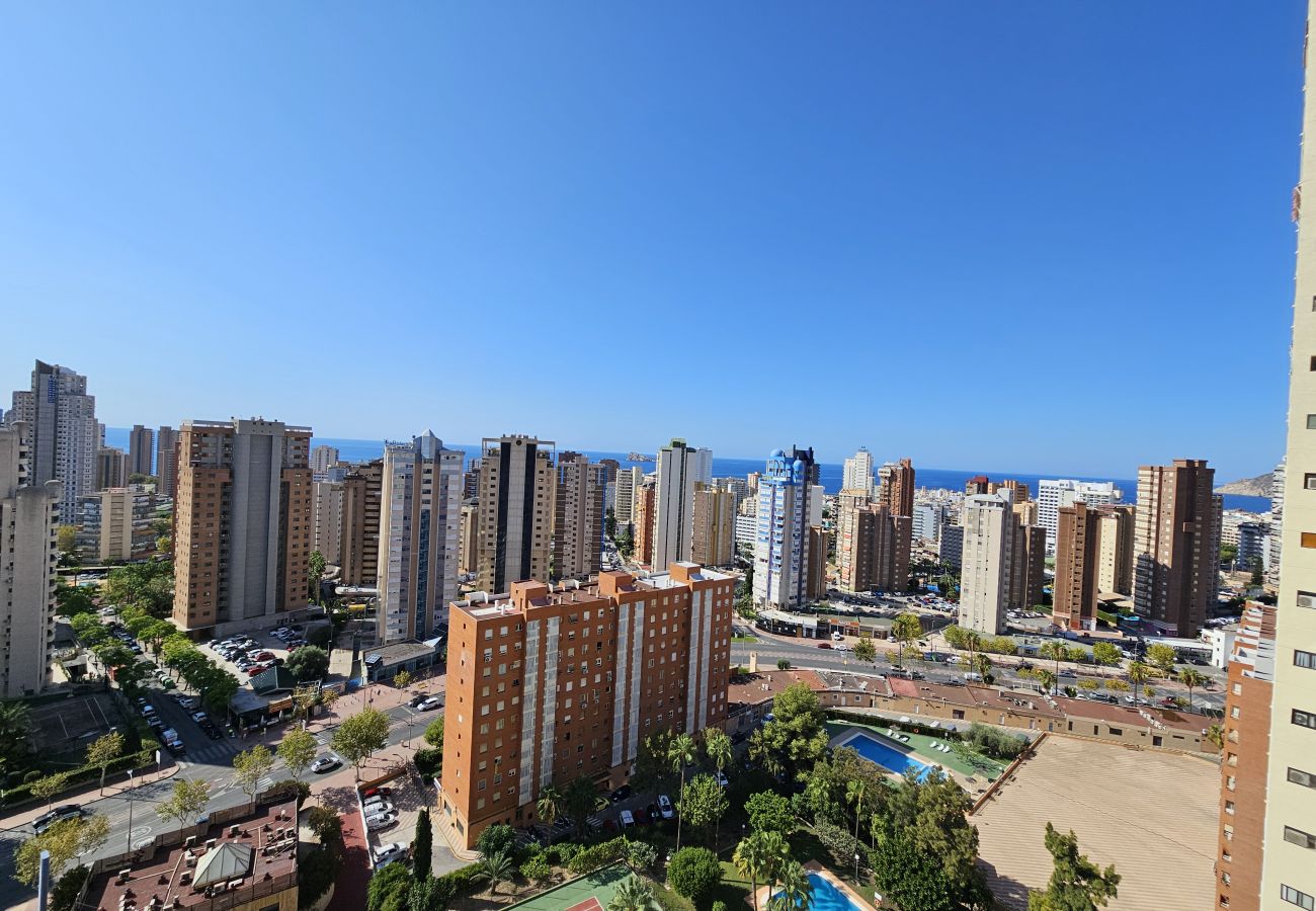 Apartamento en Benidorm - Apartamento Gemelos XII 17 C IF Benidorm