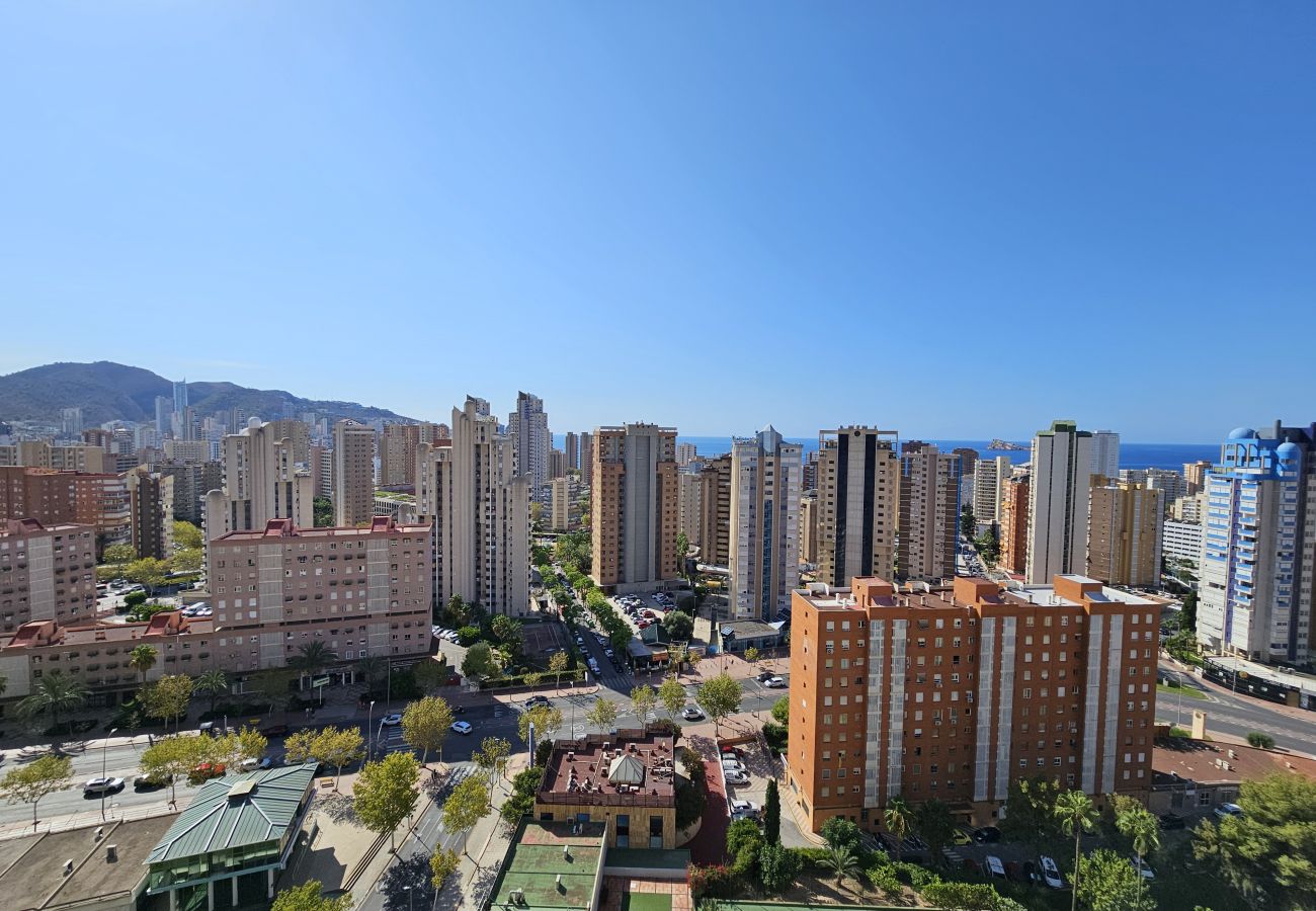 Apartamento en Benidorm - Apartamento Gemelos XII 17 C IF Benidorm