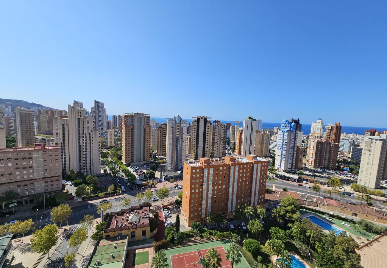 Apartamento en Benidorm - Apartamento Gemelos XII 17 C IF Benidorm