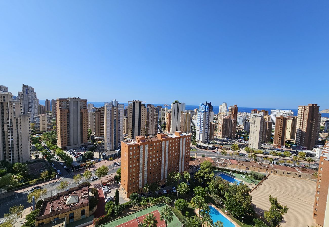 Apartamento en Benidorm - Apartamento Gemelos XII 17 C IF Benidorm