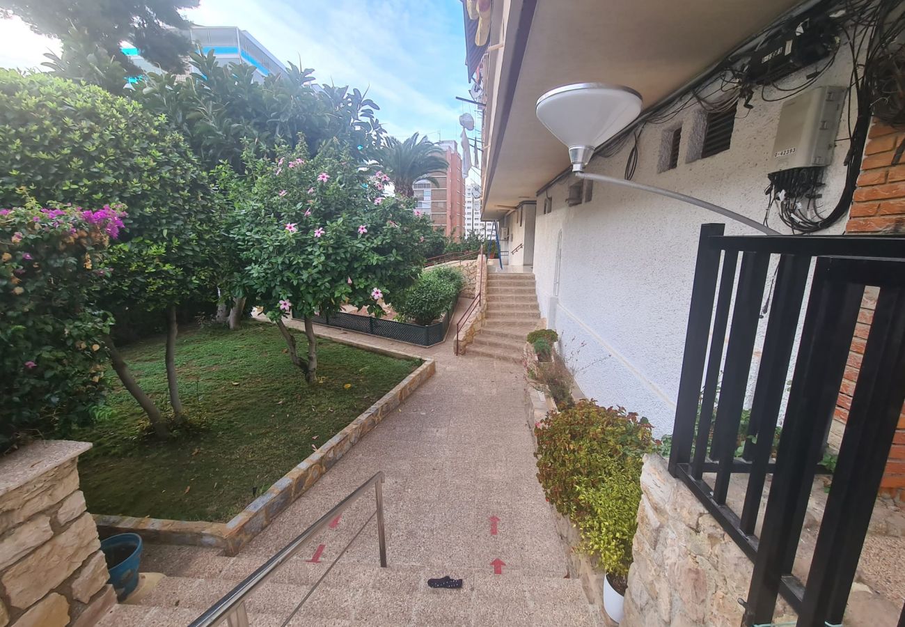 Apartamento en Benidorm - Apartamento Piscis 11 IF Inmobiliaria