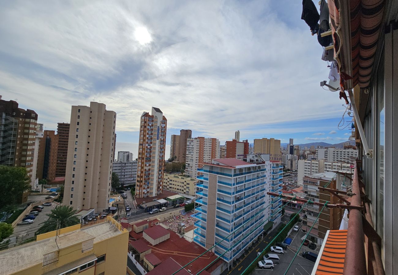 Apartamento en Benidorm - Apartamento Piscis 11 IF Inmobiliaria