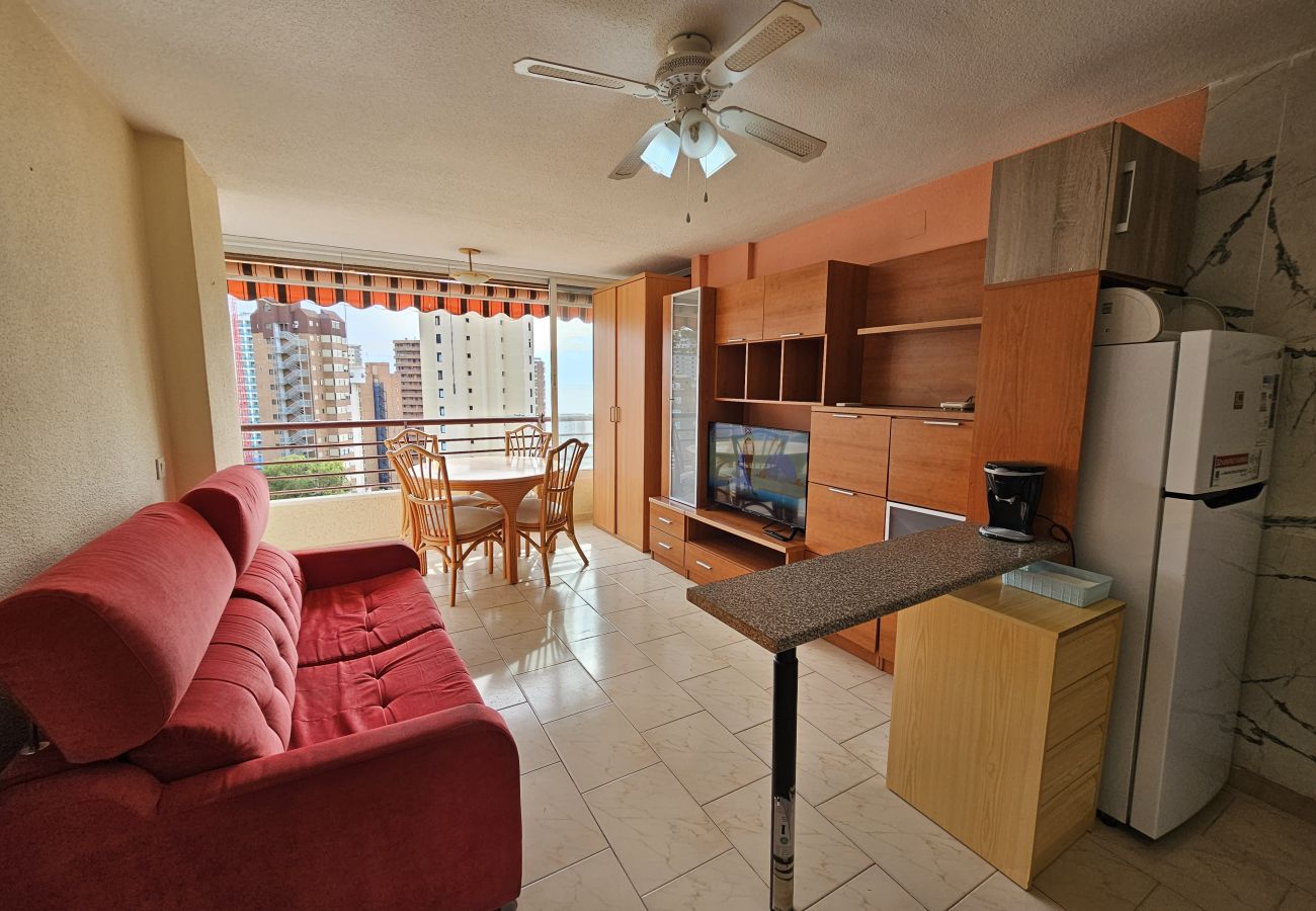 Apartamento en Benidorm - Apartamento Piscis 11 IF Inmobiliaria