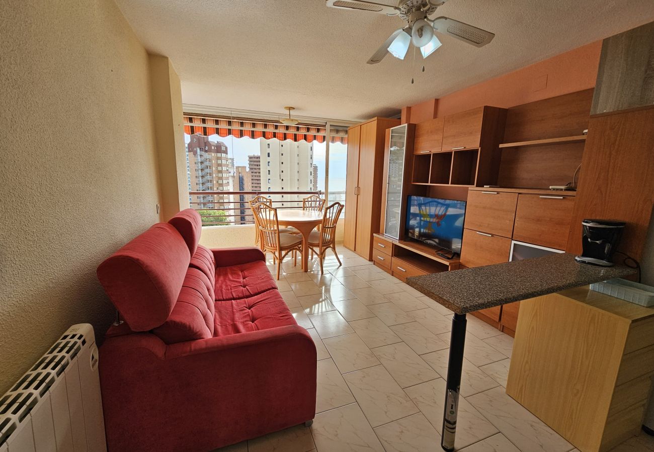 Apartamento en Benidorm - Apartamento Piscis 11 IF Inmobiliaria