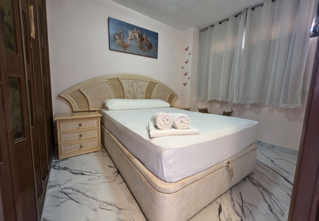 Apartamento en Benidorm - Apartamento Piscis 11 IF Inmobiliaria