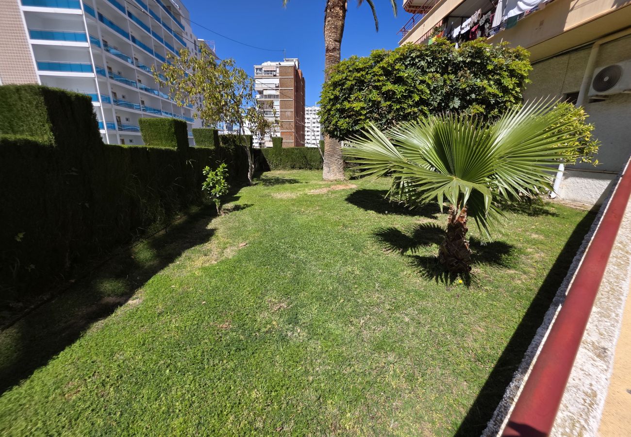 Apartamento en Benidorm - Apartamento Piscis 11 IF Inmobiliaria