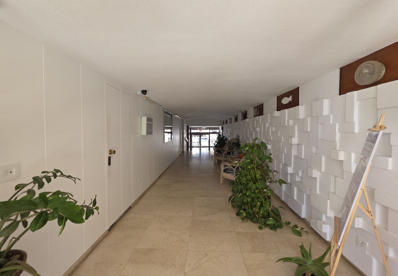 Apartamento en Benidorm - Apartamento Piscis 11 IF Inmobiliaria
