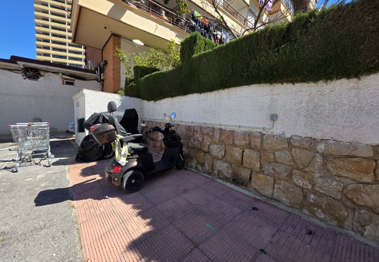 Apartamento en Benidorm - Apartamento Piscis 11 IF Inmobiliaria