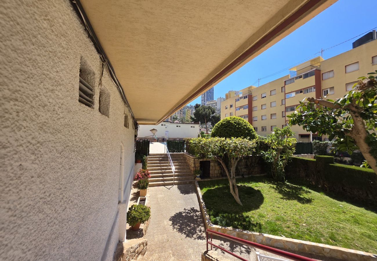 Apartamento en Benidorm - Apartamento Piscis 11 IF Inmobiliaria