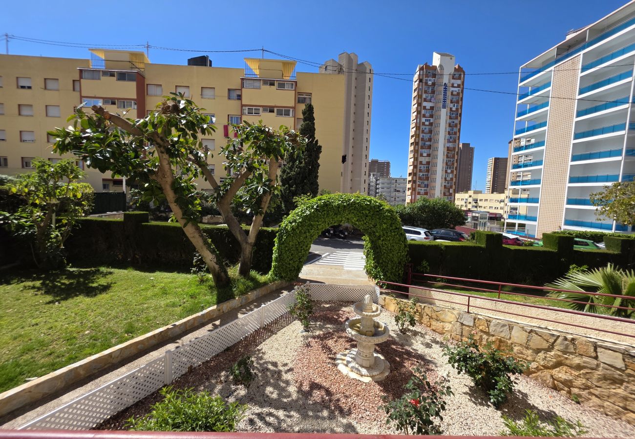 Apartamento en Benidorm - Apartamento Piscis 11 IF Inmobiliaria