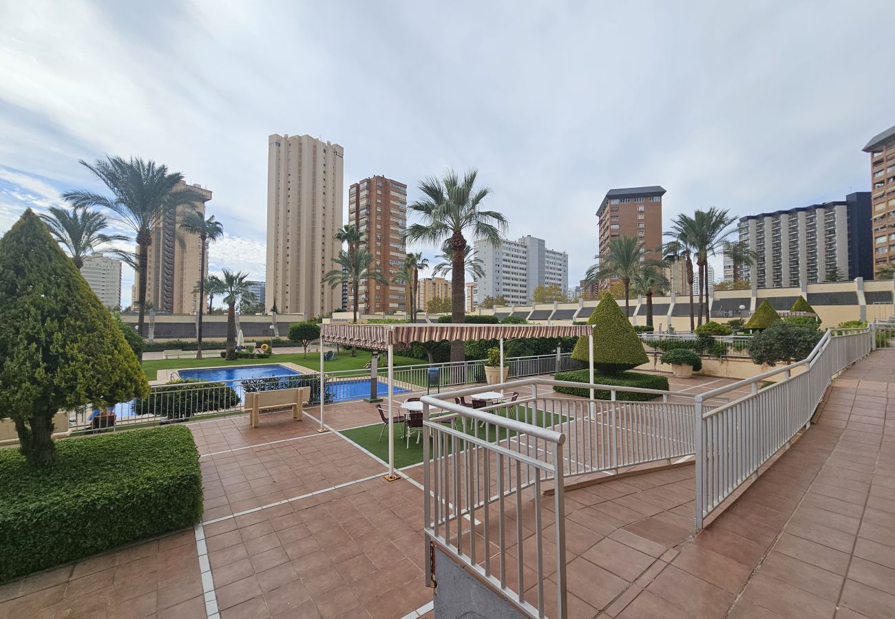 Apartamento en Benidorm - Apartamento Gemelos XX 18 IF Benidorm