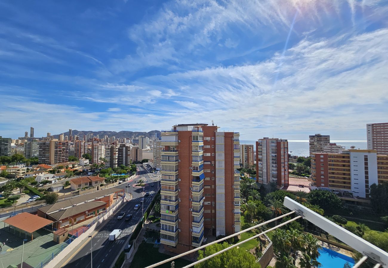 Apartamento en Benidorm - Apartamento San Sebastian 10 IF Inmbiliaria