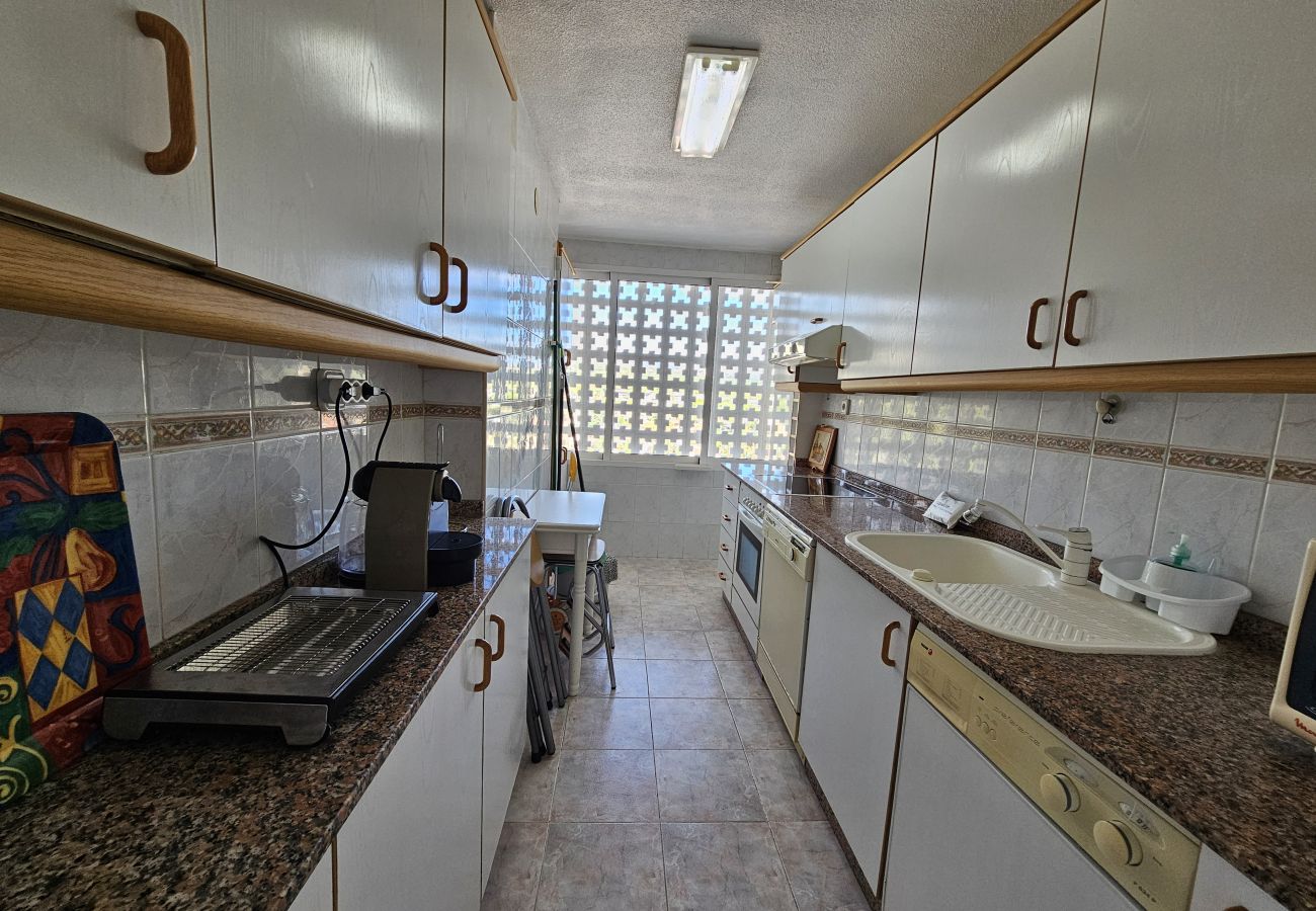 Apartamento en Benidorm - Apartamento San Sebastian 10 IF Inmbiliaria