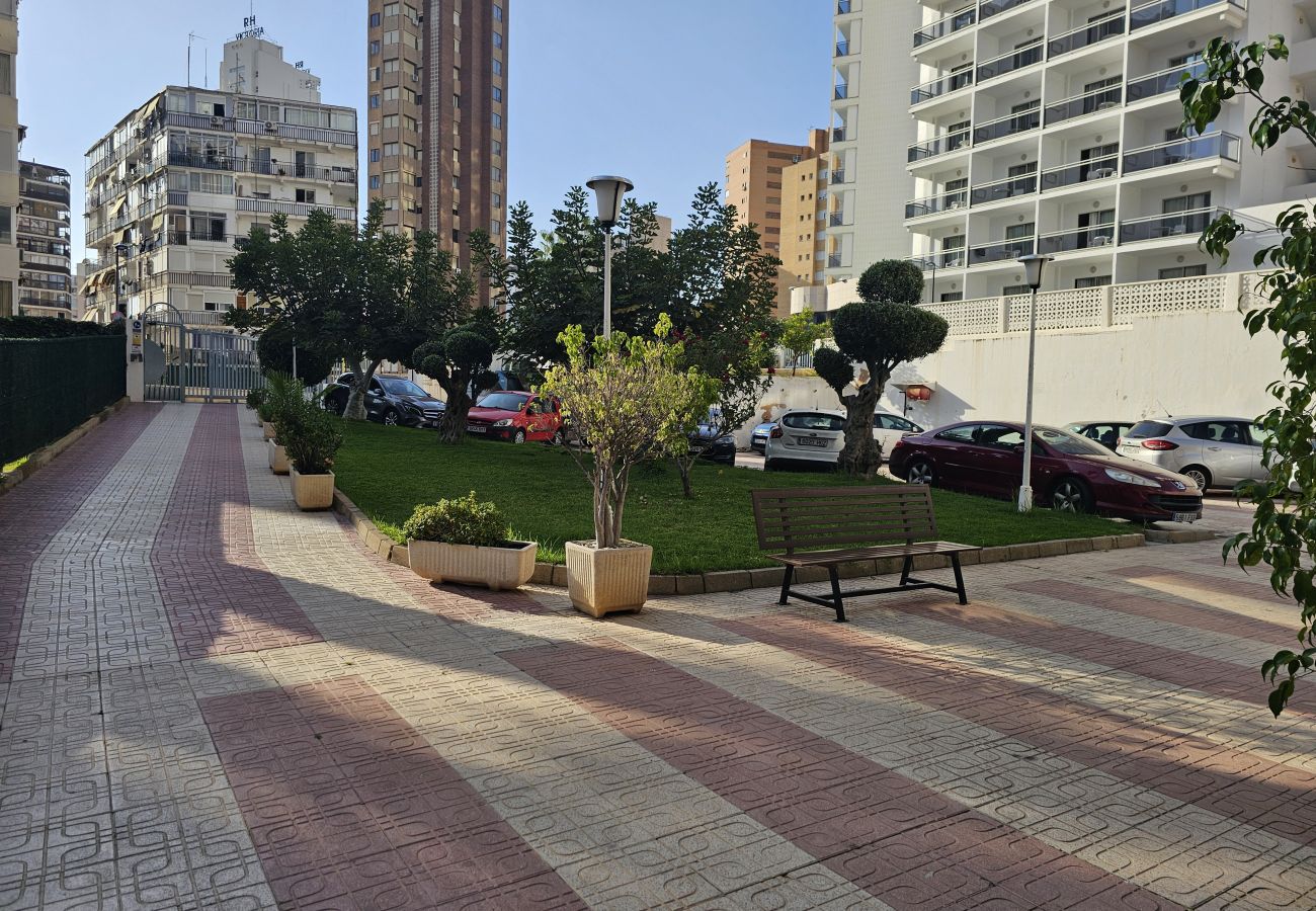 Apartamento en Benidorm - Apartamento Cenit IF Benidorm