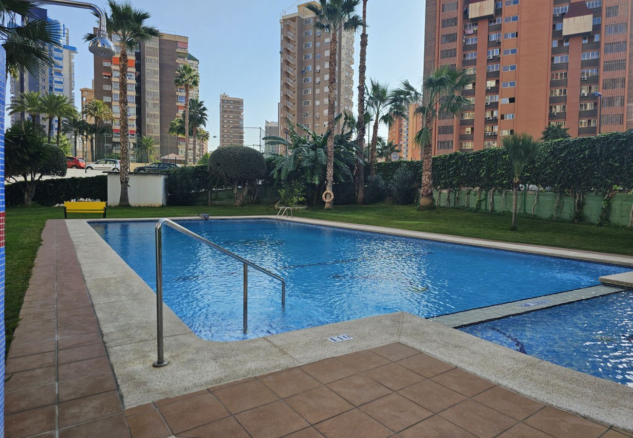 Apartamento en Benidorm - Apartamento Cenit IF Benidorm