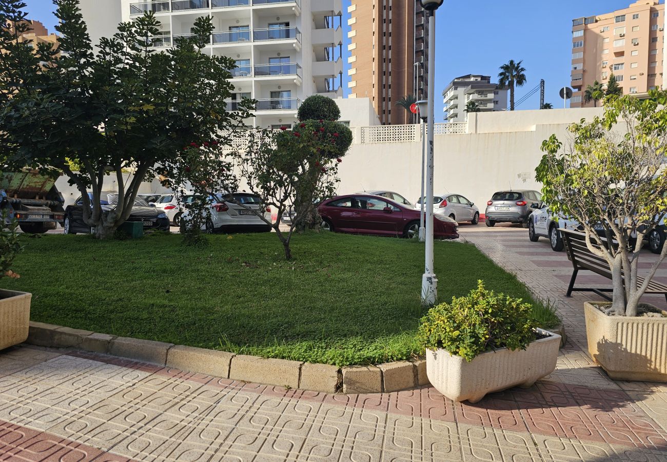 Apartamento en Benidorm - Apartamento Cenit IF Benidorm