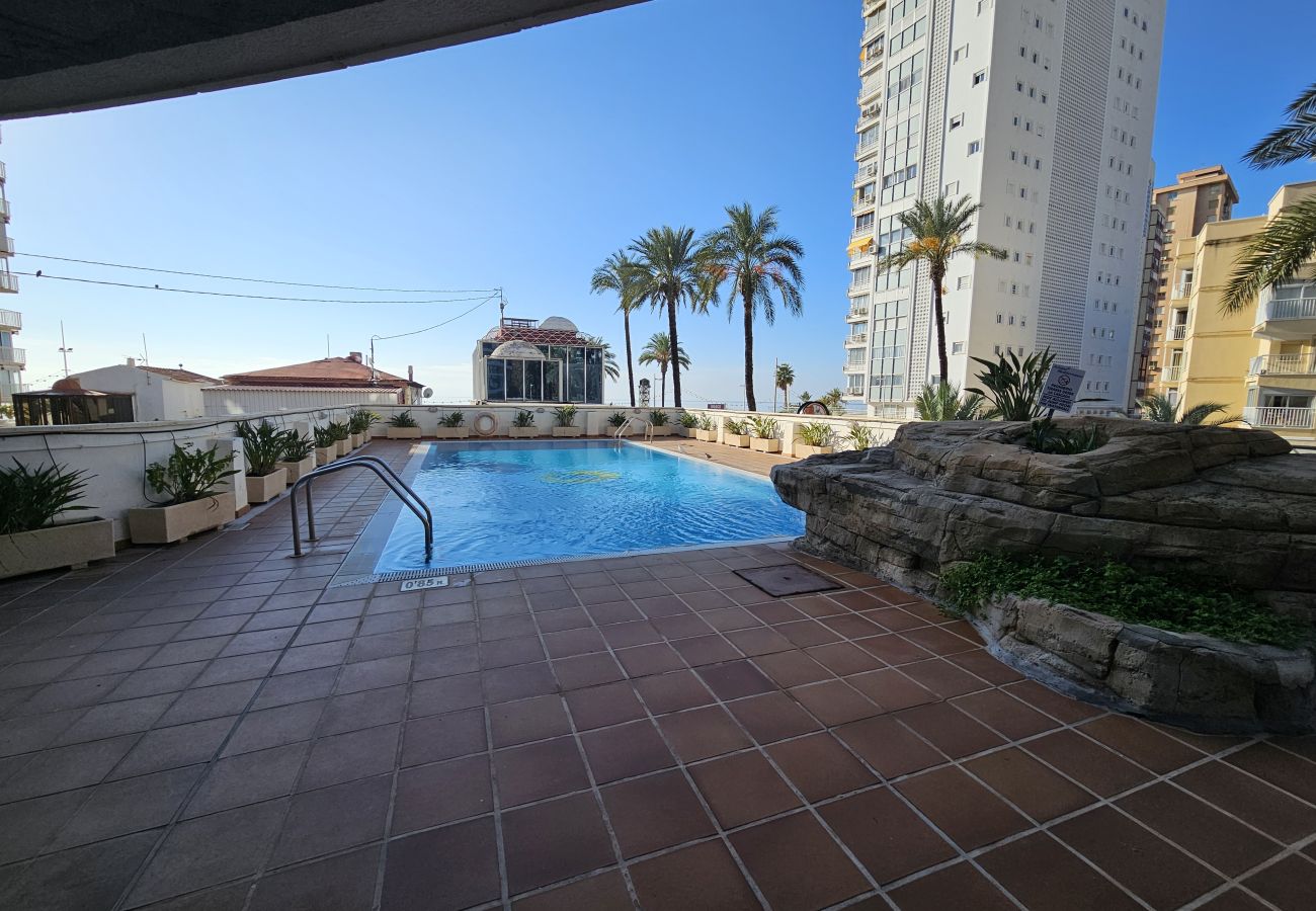 Apartamento en Benidorm - Apartamento Acintur Mediterráneo IF Benidorm