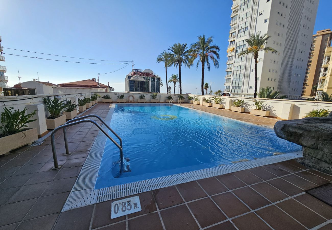 Apartamento en Benidorm - Apartamento Acintur Mediterráneo IF Benidorm