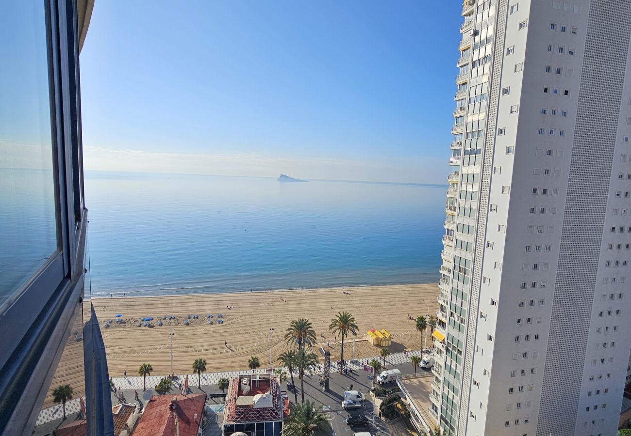 Apartamento en Benidorm - Apartamento Acintur Mediterráneo IF Benidorm