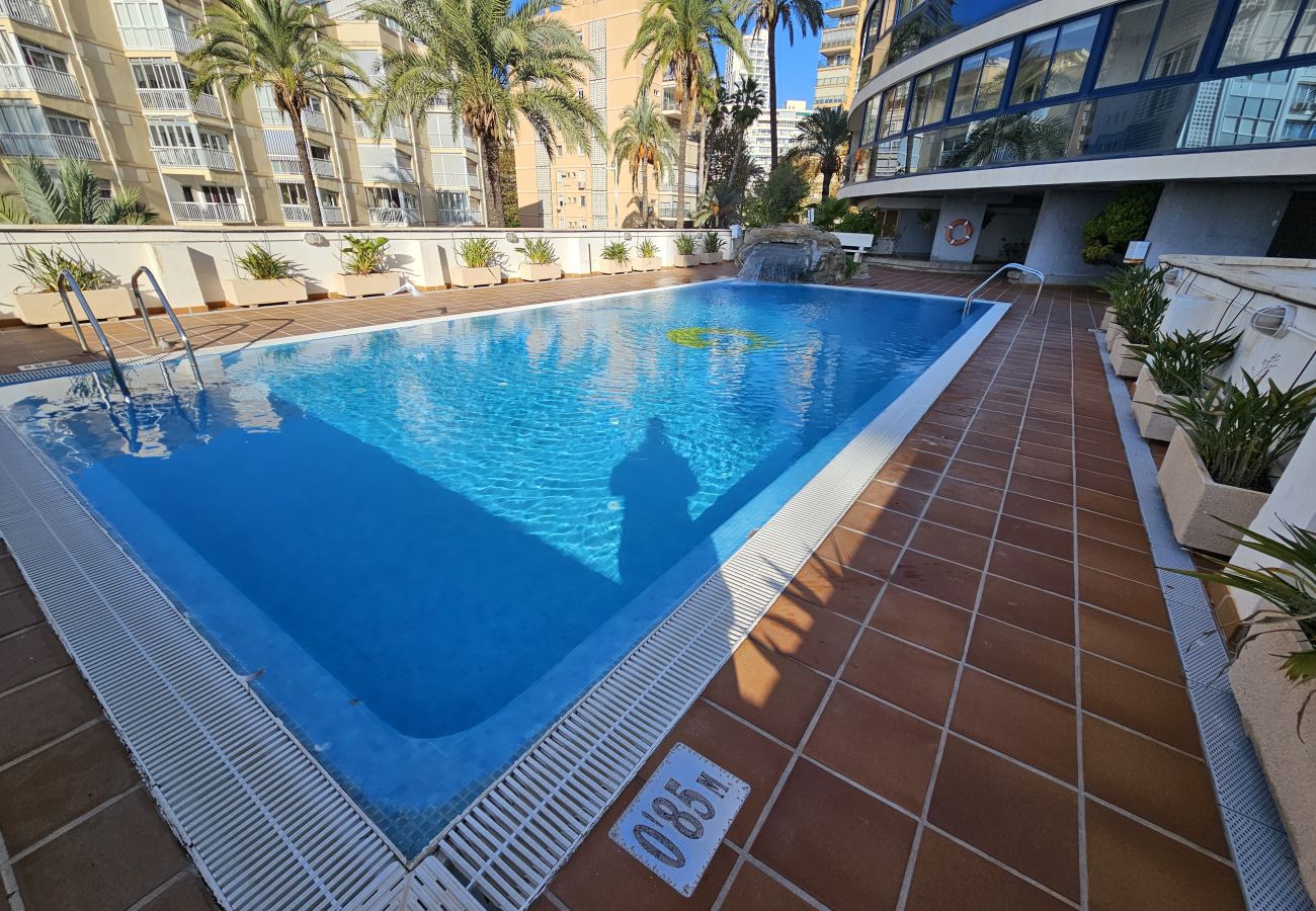 Apartamento en Benidorm - Apartamento Acintur Mediterráneo IF Benidorm