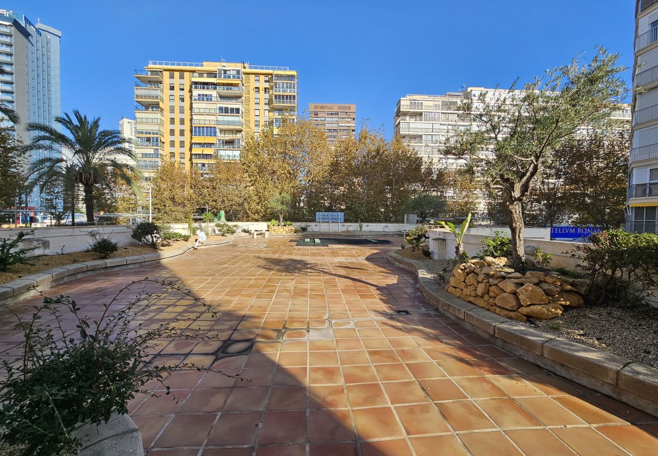 Apartamento en Benidorm - Apartamento Acintur Mediterráneo IF Benidorm