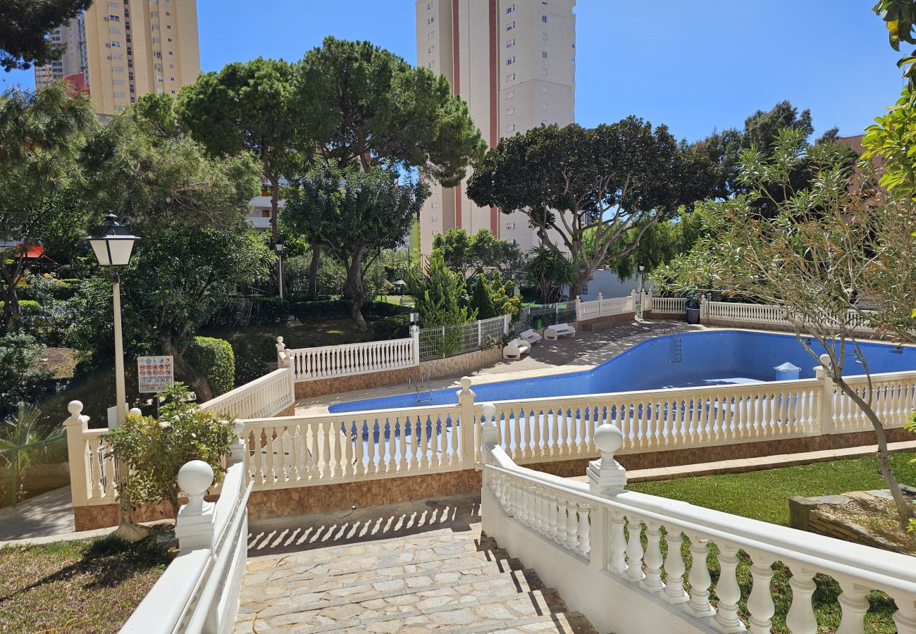 Estudio en Benidorm - Apartamento Tierra del Sol IF Benidorm