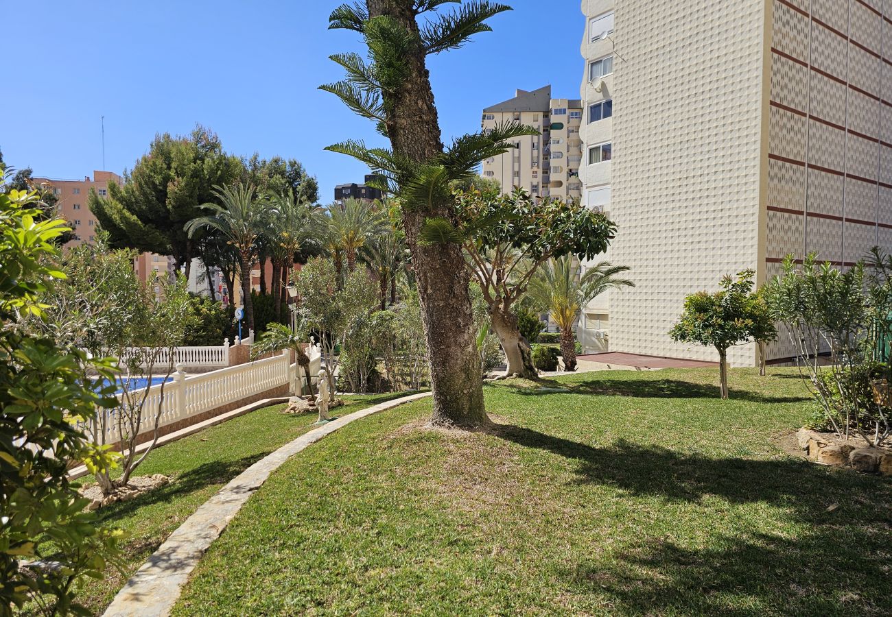 Estudio en Benidorm - Apartamento Tierra del Sol IF Benidorm