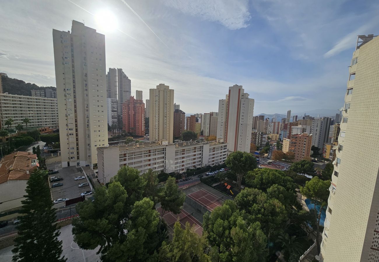 Estudio en Benidorm - Apartamento Tierra del Sol IF Benidorm