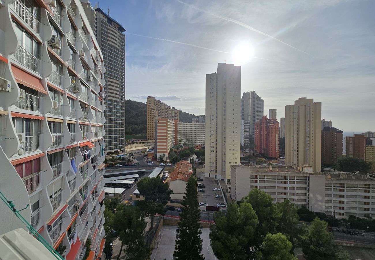 Estudio en Benidorm - Apartamento Tierra del Sol IF Benidorm