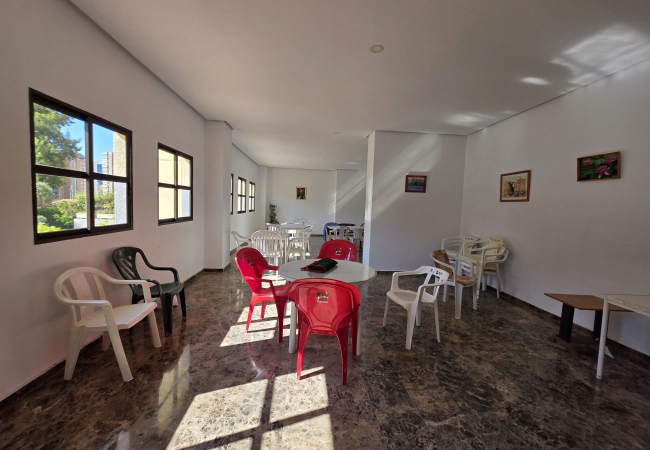 Apartamento en Benidorm - Apartamento Gemelos XII 9 IF Benidorm