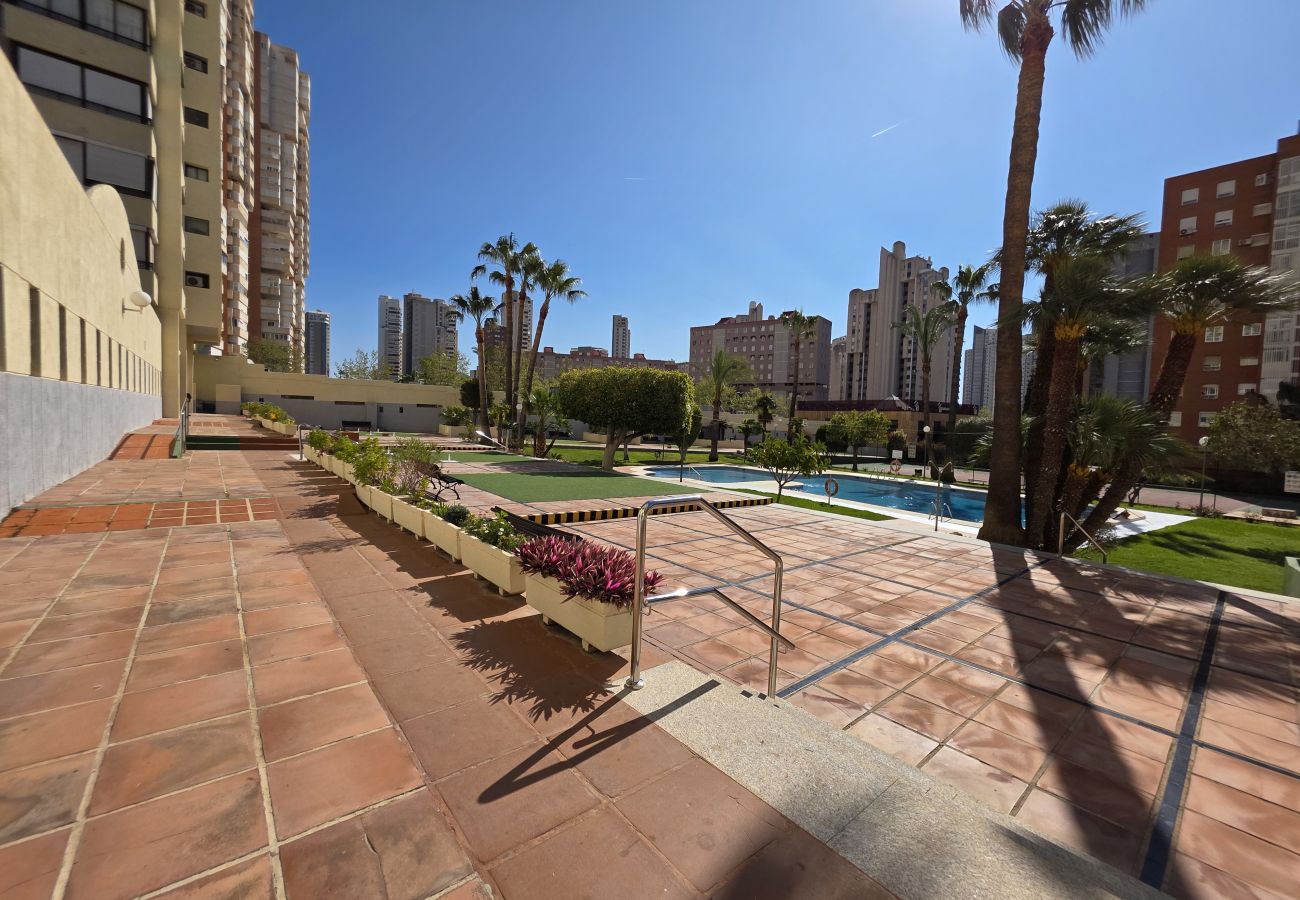 Apartamento en Benidorm - Apartamento Gemelos XII 9 IF Benidorm