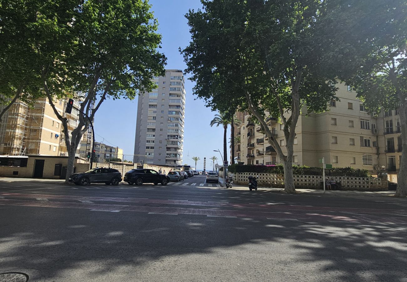 Apartamento en Benidorm - Apartamento El Junco IF Beach