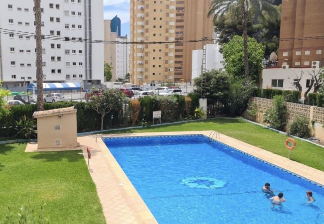 Apartamento en Benidorm - Apartamento Acacias 21 IF Benidorm