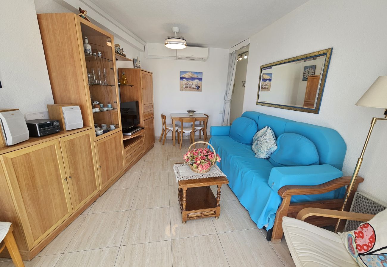Apartamento en Benidorm - Apartamento Acacias 21 IF Benidorm