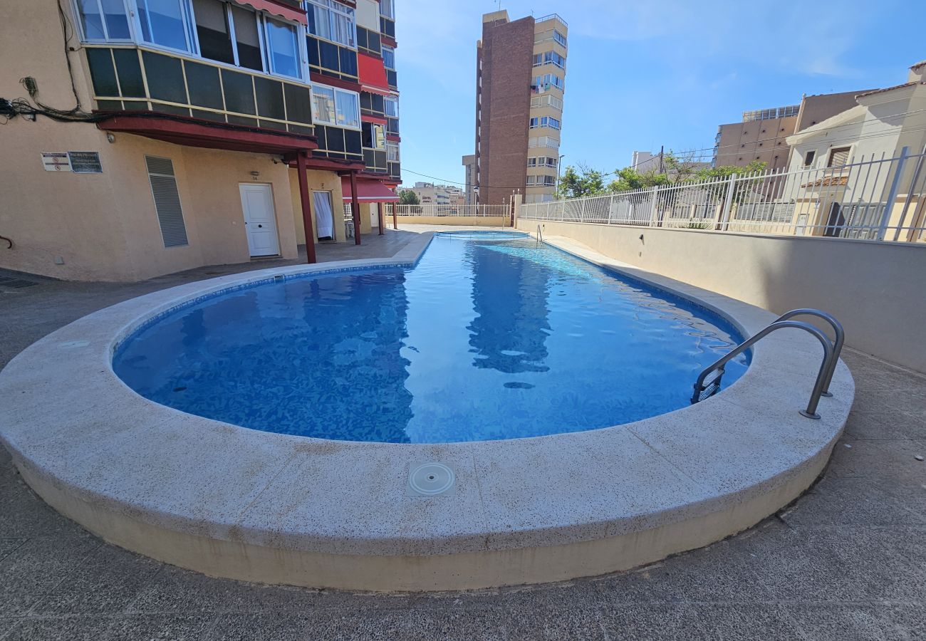 Apartamento en Benidorm - Apartamento Sinerella IF Benidorm