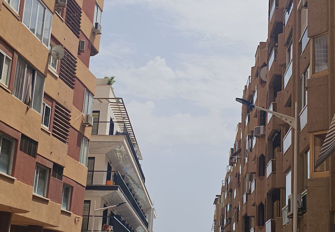 Apartamento en Benidorm - Apartamento Fiesta Sol IF Benidorm
