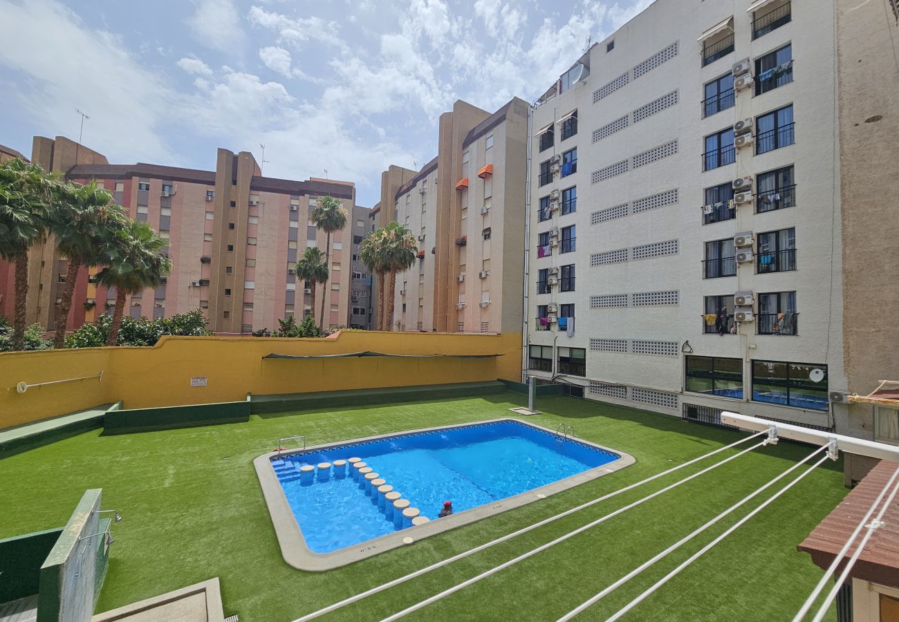 Apartamento en Benidorm - Apartamento Fiesta Sol IF Benidorm
