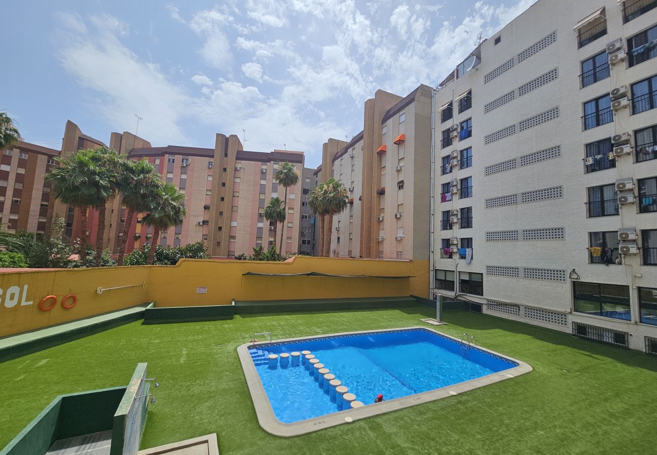 Apartamento en Benidorm - Apartamento Fiesta Sol IF Benidorm