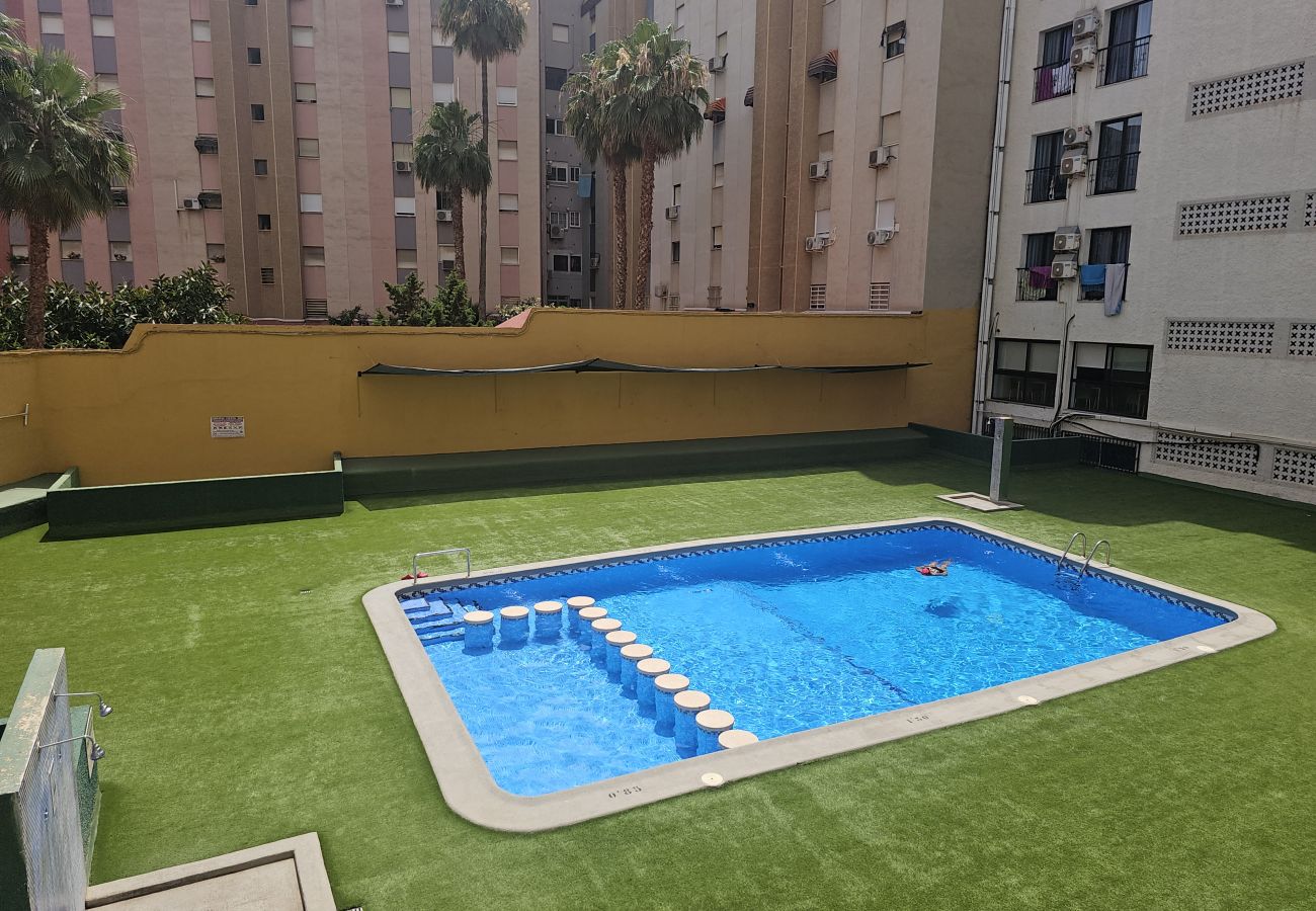 Apartamento en Benidorm - Apartamento Fiesta Sol IF Benidorm