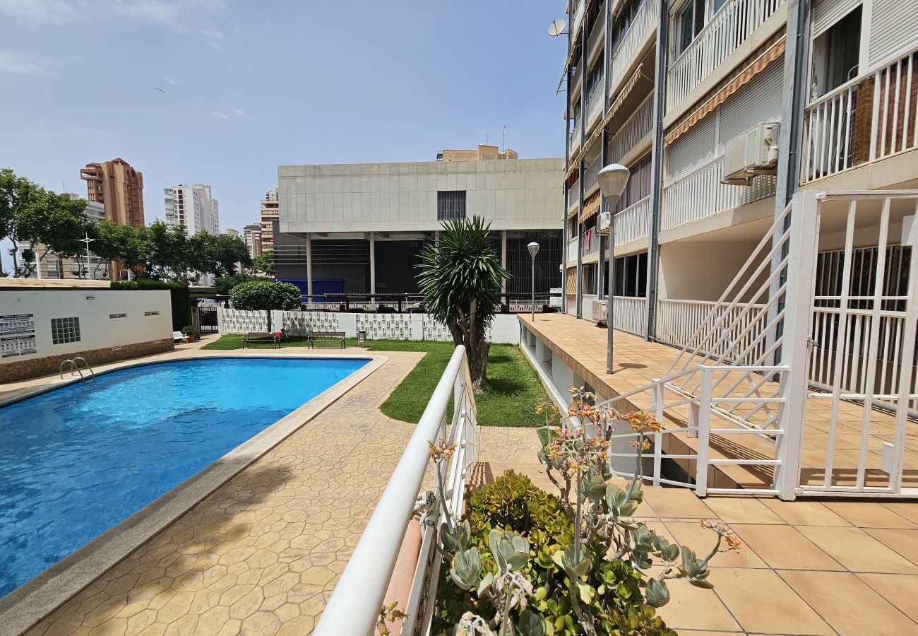 Apartamento en Benidorm - Apartamento Albatros IF Benidorm