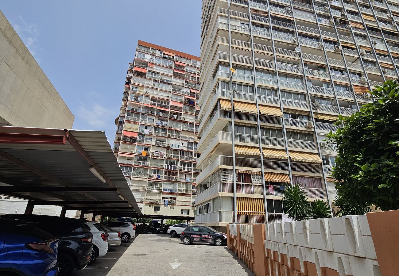 Apartamento en Benidorm - Apartamento Albatros IF Benidorm
