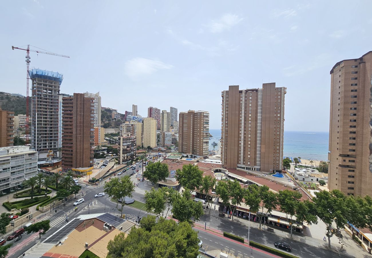 Apartamento en Benidorm - Apartamento Albatros IF Benidorm